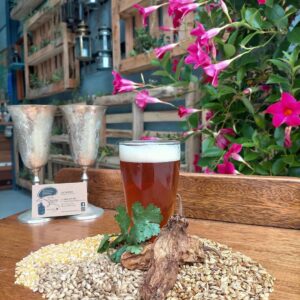 Lil' Secret - Experimental Mexican Lager