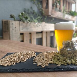 4 Weeks Notice - IPA